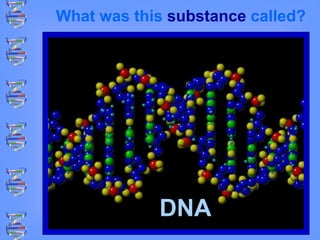What was this substance called?
DNA
 