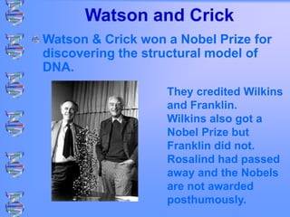 Watson and Crick
Watson & Crick won a Nobel Prize for
discovering the structural model of
DNA.
They credited Wilkins
and Franklin.
Wilkins also got a
Nobel Prize but
Franklin did not.
Rosalind had passed
away and the Nobels
are not awarded
posthumously.
 