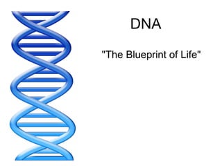 DNA &quot;The Blueprint of Life&quot; 