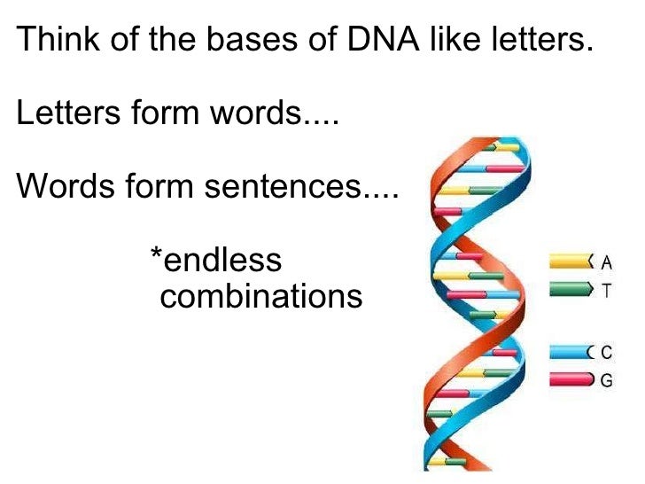 Dna & rna