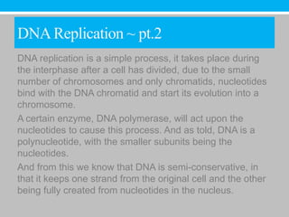 DNA Replication ~ pt.2
DNA replication is a simple process, it takes place during
the interphase after a cell has divided, due to the small
number of chromosomes and only chromatids, nucleotides
bind with the DNA chromatid and start its evolution into a
chromosome.
A certain enzyme, DNA polymerase, will act upon the
nucleotides to cause this process. And as told, DNA is a
polynucleotide, with the smaller subunits being the
nucleotides.
And from this we know that DNA is semi-conservative, in
that it keeps one strand from the original cell and the other
being fully created from nucleotides in the nucleus.
 