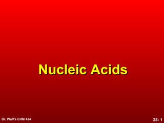 Dr. Wolf's CHM 424 28- 1
Nucleic AcidsNucleic Acids
 