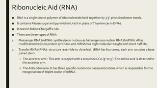 Ribonucleic Aid (RNA)
■ RNA is a single strand polymer of ribonucleotide held together by 3’5’-phosphodiester bonds.
■ It contains Ribose sugar and pyrimidine Uracil in place ofThymine (as in DNA).
■ It doesn’t followChargaff’s rule.
■ There are three types of RNA:
1. Messenger RNA (mRNA): synthesize in nucleus as heterogenous nuclear RNA (hnRNA).After
modification helps in protein synthesis and mRNA has high molecular weight with short half life.
2. Transfer RNA (tRNA) : structure resemble to clove leaf. tRNA has four arms, each arm contains a base
paired stem.
i. The acceptor arm :This arm is capped with a sequence CCA (5’ to 3’).The amino acid is attached to
the acceptor arm.
ii. The Anticodon arm: It has three specific nucleotide bases(anticodon), which is responsible for the
recognisation of triplet codon of mRNA.
 