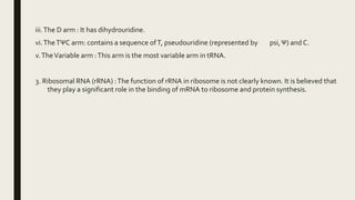 iii.The D arm : It has dihydrouridine.
vi.TheTΨC arm: contains a sequence ofT, pseudouridine (represented by psi,Ψ) and C.
v.TheVariable arm :This arm is the most variable arm in tRNA.
3. Ribosomal RNA (rRNA) :The function of rRNA in ribosome is not clearly known. It is believed that
they play a significant role in the binding of mRNA to ribosome and protein synthesis.
 