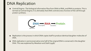 DNA Replication
■ Central Dogma :The biological information flow from DNA to RNA, and RNA to proteins.This is
termed as Central Dogma. It is ultimately that DNA controls every function of the cell through
protein synthesis.
■ Replication is the process in which DNA copies itself to produce identical daughter molecules of
DNA.
■ DNA replication is semiconservative sine half of the original DNA is conserved in the daughter
DNA.This was explained by Meselson and Stahl (1958).
 