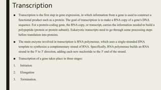 Transcription
■ Transcription is the first step in gene expression, in which information from a gene is used to construct a
functional product such as a protein. The goal of transcription is to make a RNA copy of a gene's DNA
sequence. For a protein-coding gene, the RNA copy, or transcript, carries the information needed to build a
polypeptide (protein or protein subunit). Eukaryotic transcripts need to go through some processing steps
before translation into proteins.
■ The main enzyme involved in transcription is RNA polymerase, which uses a single-stranded DNA
template to synthesize a complementary strand of RNA. Specifically, RNA polymerase builds an RNA
strand in the 5' to 3' direction, adding each new nucleotide to the 3' end of the strand.
■ Transcription of a gene takes place in three stages:
1. Initiation
2. Elongation
3. Termination.
 