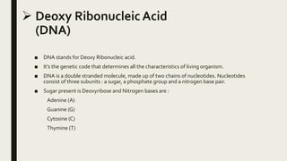  Deoxy Ribonucleic Acid
(DNA)
■ DNA stands for Deoxy Ribonucleic acid.
■ It’s the genetic code that determines all the characteristics of living organism.
■ DNA is a double stranded molecule, made up of two chains of nucleotides. Nucleotides
consist of three subunits : a sugar, a phosphate group and a nitrogen base pair.
■ Sugar present is Deoxyribose and Nitrogen bases are :
Adenine (A)
Guanine (G)
Cytosine (C)
Thymine (T)
 