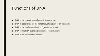 Functions of DNA
■ DNA is the reserve bank of genetic information.
■ DNA is responsible for the hereditary characters of an organism.
■ DNA is the fundamental units of genetic information.
■ DNA forms RNA by the process calledTranscription.
■ DNA is the precursor of proteins.
 