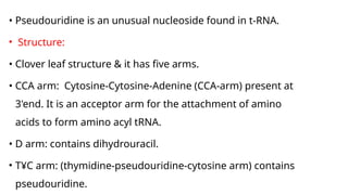 Ines Pyramide DNA RNA structure and types and Synthetic Analogs of Nucleotides ...