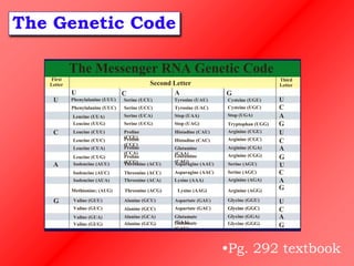 Rna Code U DNA_RNA_11_.ppt.pptx