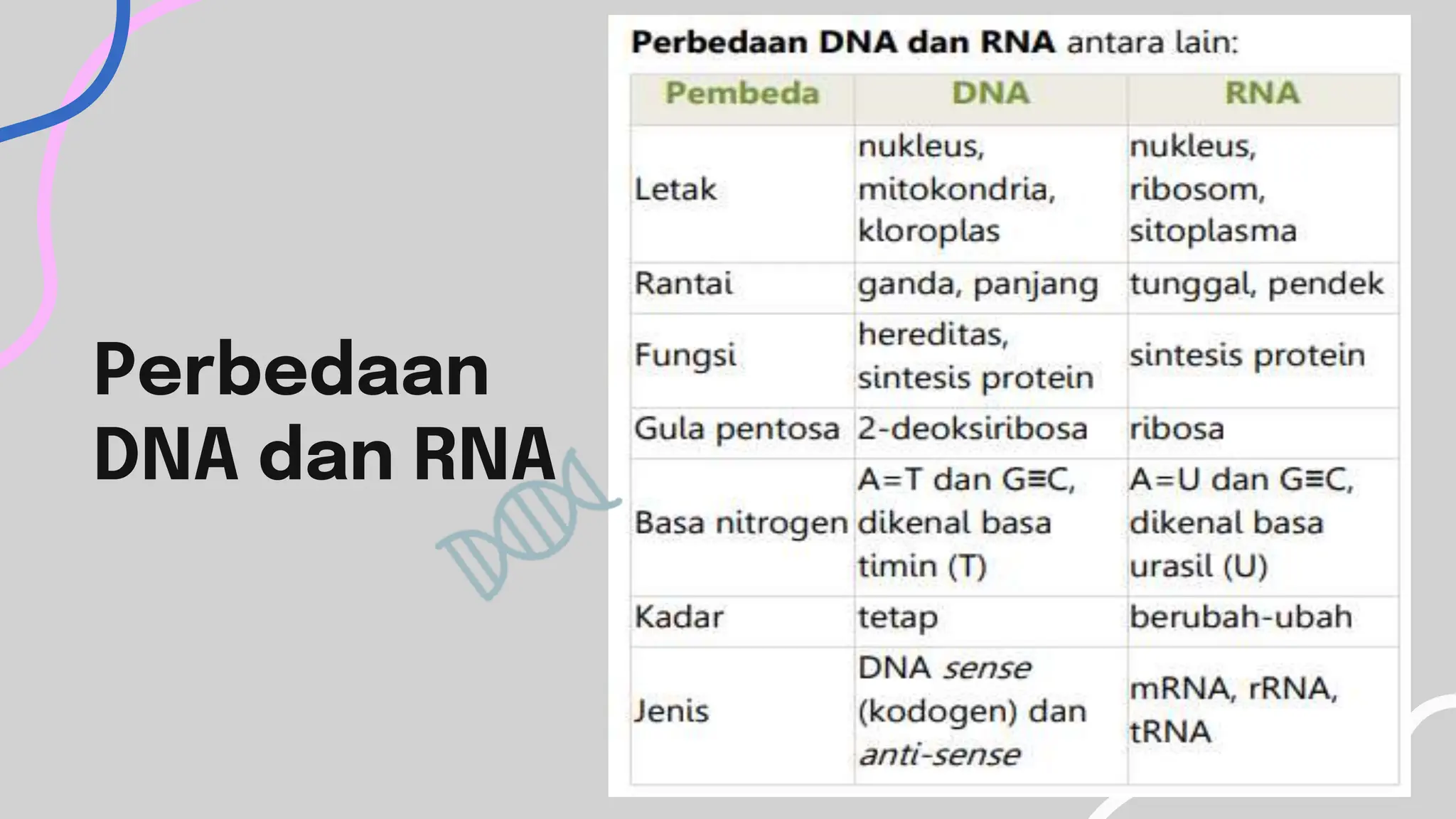 TEMAN DNA,RNA, DAN SINTESIS PROTEIN.pptx