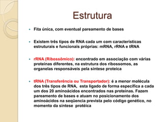 Estrutura
   Fita única, com eventual pareamento de bases


   Existem três tipos de RNA cada um com características
    estruturais e funcionais próprias: mRNA, rRNA e tRNA


   rRNA (Ribossômico): encontrado em associação com várias
    proteínas diferentes, na estrutura dos ribossomos, as
    organelas responsáveis pela síntese proteíca


   tRNA (Transferência ou Transportador): é a menor molécula
    dos três tipos de RNA, esta ligado de forma específica a cada
    um dos 20 aminoácidos encontrados nas proteínas. Fazem
    pareamento de bases e atuam no posicionamento dos
    aminoácidos na seqüencia prevista pelo código genético, no
    momento da síntese protéica
 