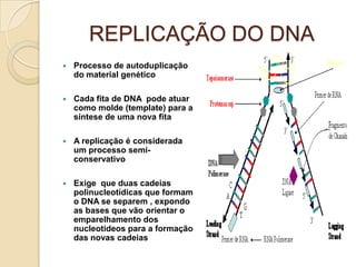 REPLICAÇÃO DO DNA
   Processo de autoduplicação
    do material genético

   Cada fita de DNA pode atuar
    como molde (template) para a
    síntese de uma nova fita

   A replicação é considerada
    um processo semi-
    conservativo

   Exige que duas cadeias
    polinucleotídicas que formam
    o DNA se separem , expondo
    as bases que vão orientar o
    emparelhamento dos
    nucleotideos para a formação
    das novas cadeias
 