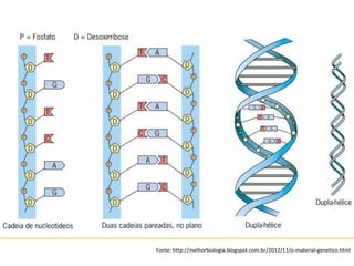 Fonte: http://melhorbiologia.blogspot.com.br/2012/11/o-material-genetico.html
 