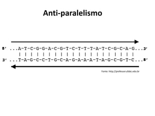 Fonte: http://professor.ufabc.edu.br
Anti-paralelismo
 