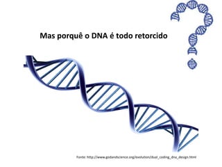 Mas porquê o DNA é todo retorcido
Fonte: http://www.godandscience.org/evolution/dual_coding_dna_design.html
 