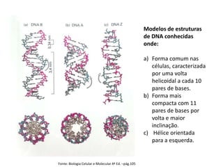 Fonte: Biologia Celular e Molecular 4ª Ed. –pág.105
Modelos de estruturas
de DNA conhecidas
onde:
a) Forma comum nas
células, caracterizada
por uma volta
helicoidal a cada 10
pares de bases.
b) Forma mais
compacta com 11
pares de bases por
volta e maior
inclinação.
c) Hélice orientada
para a esquerda.
 