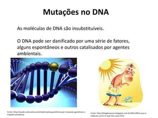 Mutações no DNA
As moléculas de DNA são insubstituíveis.
O DNA pode ser danificado por uma série de fatores,
alguns espontâneos e outros catalisados por agentes
ambientais.
Fonte: http://saude.culturamix.com/medicina/esquizofrenia-por-mutacoes-geneticas-e-
trabalho-produtivo
Fonte: http://blogdoozonio.blogspot.com.br/2011/05/o-que-e-
radiacao-uv-b-e-o-que-ela-causa.html
 