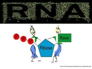 Fonte: http://www.casadasciencias.org/index.php
 