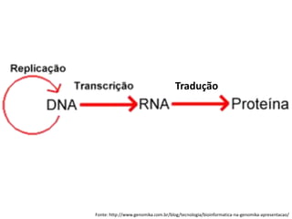 Fonte: http://www.genomika.com.br/blog/tecnologia/bioinformatica-na-genomika-apresentacao/
Tradução
 
