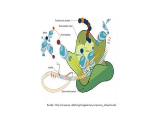 Fonte: http://copeve.cefetmg.br/galerias/arquivos_download/
 