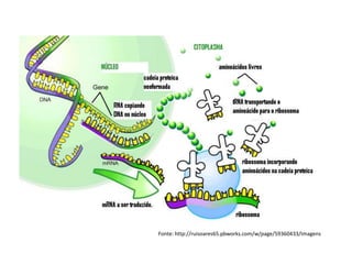 Fonte: http://ruisoares65.pbworks.com/w/page/59360433/Imagens
 