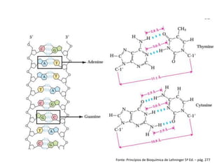 Fonte: Princípios de Bioquímica de Lehninger 5ª Ed. – pág. 277
 