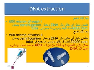 DNA extraction
‫نضع‬ ‫ذلك‬ ‫بعد‬
• 500 micron of wash I
‫بال‬ ‫عالق‬ ‫أي‬ ‫نشيل‬ ‫علشان‬
DNA
‫ونعمل‬
centrifugation
‫بمعدل‬
8000 rpm
‫في‬ ‫جمع‬ ‫ما‬ ‫ونرمي‬ ‫دقيقة‬ ‫لمدة‬
tube
‫نضع‬ ‫ذلك‬ ‫بعد‬
• 500 micron of wash II
‫بال‬ ‫عالق‬ ‫أي‬ ‫نشيل‬ ‫علشان‬
DNA
‫ونعمل‬
centrifugation
‫بمعدل‬
20000 rpm
‫لمدة‬
3
‫في‬ ‫جمع‬ ‫ما‬ ‫ونرمي‬ ‫دقائق‬
tube
‫ال‬ ‫أن‬ ‫من‬ ‫للتأكد‬ ‫دي‬ ‫الخطوة‬ ‫نكرر‬ ‫ممكن‬
silica
‫شيء‬ ‫أي‬ ‫تحمل‬ ‫تعد‬ ‫لم‬
‫ال‬ ‫سوي‬
DNA
10
 