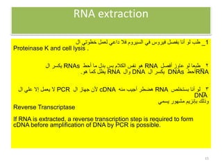 RNA extraction
1
_
‫ال‬ ‫خطوتي‬ ‫لعمل‬ ‫داعي‬ ‫فال‬ ‫السيروم‬ ‫في‬ ‫فيروس‬ ‫بفصل‬ ‫أنا‬ ‫لو‬ ‫طب‬
Proteinase K and cell lysis .
٢
_
‫أفصل‬ ‫عاوز‬ ‫لو‬ ‫طبعا‬
RNA
‫أحط‬ ‫ما‬ ‫بدل‬ ‫بس‬ ‫الكالم‬ ‫نفس‬ ‫هو‬
RNAs
‫ال‬ ‫يكسر‬
RNA
‫أحط‬
DNAs
‫ال‬ ‫يكسر‬
DNA
‫وال‬
RNA
‫هو‬ ‫كما‬ ‫يظل‬
.
٣
_
‫بستخلص‬ ‫أنا‬ ‫لو‬
RNA
‫منه‬ ‫أجيب‬ ‫هضطر‬
cDNA
‫ال‬ ‫جهاز‬ ‫ألن‬
PCR
‫ال‬ ‫علي‬ ‫إال‬ ‫يعمل‬ ‫ال‬
DNA
‫يسمي‬ ‫مشهور‬ ‫بإنزيم‬ ‫وذلك‬
Reverse Transcriptase
If RNA is extracted, a reverse transcription step is required to form
cDNA before amplification of DNA by PCR is possible.
15
 