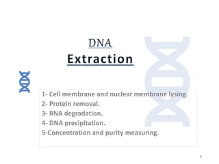 1- Cell membrane and nuclear membrane lysing.
2- Protein removal.
3- RNA degradation.
4- DNA precipitation.
5-Concentration and purity measuring.
4
 