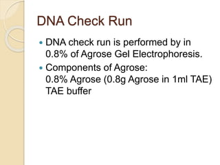 DNA Check Run
 DNA check run is performed by in
0.8% of Agrose Gel Electrophoresis.
 Components of Agrose:
0.8% Agrose (0.8g Agrose in 1ml TAE)
TAE buffer
 