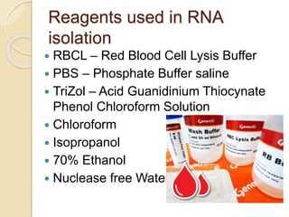 Reagents used in RNA
isolation
 RBCL – Red Blood Cell Lysis Buffer
 PBS – Phosphate Buffer saline
 TriZol – Acid Guanidinium Thiocynate
Phenol Chloroform Solution
 Chloroform
 Isopropanol
 70% Ethanol
 Nuclease free Water
 