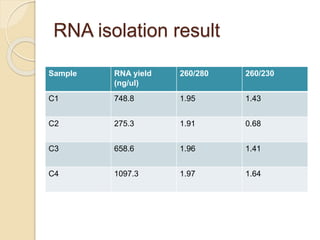 RNA isolation result
Sample RNA yield
(ng/ul)
260/280 260/230
C1 748.8 1.95 1.43
C2 275.3 1.91 0.68
C3 658.6 1.96 1.41
C4 1097.3 1.97 1.64
 