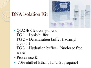 DNA isolation Kit
 QIAGEN kit component:
FG 1 – Lysis buffer
FG 2 – Denaturation buffer (Isoamyl
alcohol)
FG 3 – Hydration buffer – Nuclease free
water.
 Proteinase K
 70% chilled Ethanol and Isopropanol
 