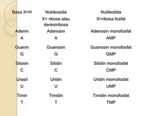 materi tentang Dna,rna,metabolisme purin,pirimidin | PPT