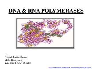 DNA & RNA POLYMERASES
By,
Ritwick Ranjan Sarma
M.Sc. Bioscience
Yenepoya Research Centre
https://en.wikipedia.org/wiki/RNA_polymerase#/media/File:5iy8.jpg
 