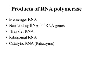 Products of RNA polymerase
• Messenger RNA
• Non-coding RNA or "RNA genes
• Transfer RNA
• Ribosomal RNA
• Catalytic RNA (Ribozyme)
 
