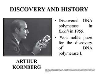 DISCOVERY AND HISTORY
• Discovered DNA
polymerase in
E.coli in 1955.
• Won noble prize
for the discovery
of DNA
polymerase I.
https://www.google.com/search?q=arthur+kornberg&sxsrf=ACYBGNR6F3tK4UmvpvHeOu8lnlf92nibRQ:157323
1667363&source=lnms&tbm=isch&sa=X&ved=0ahUKEwjqzLrViNvlAhVY7XMBHd3eDr4Q_AUIEygC&biw=1
366&bih=608
 