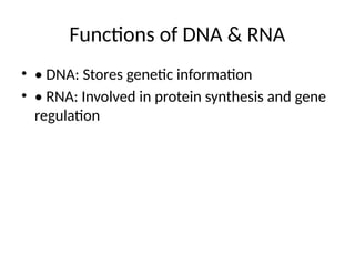 DNA_RNA_Presentation_with_Diagramsjgzitditdyd | PPT