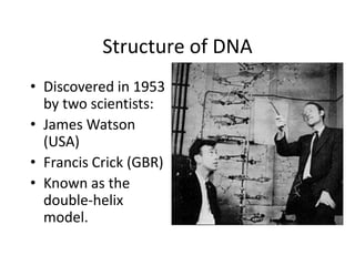 Dna, rna, protein | PPTX