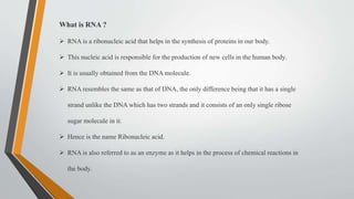 Basic Structure of RNA
 The basic structure of RNA is shown in the figure below-
 The ribonucleic acid has all the compo...