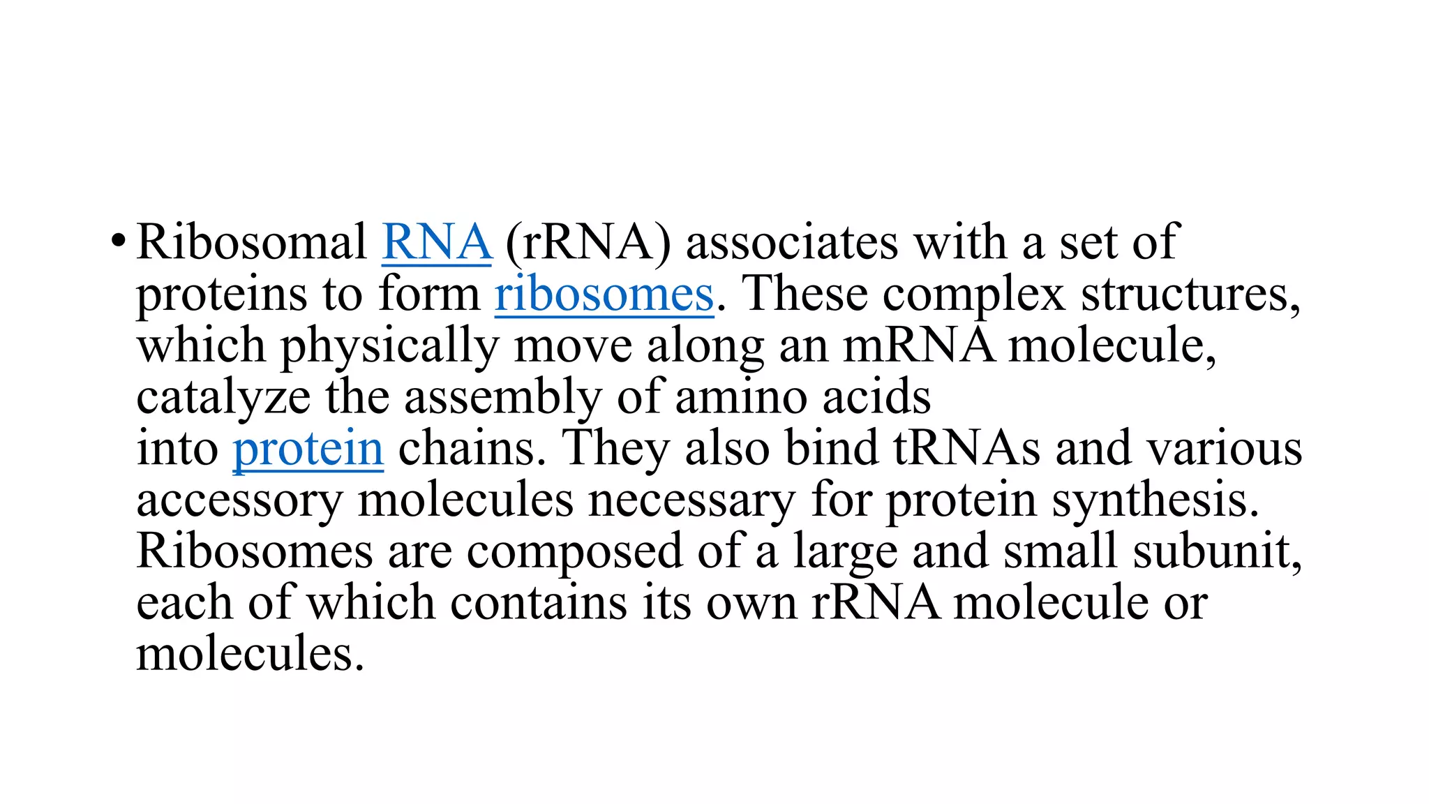 DNA, RNA, and PROTEINS | PPTX