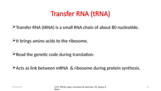 DNA & RNA structure, Function- GKMCs.pptx