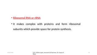 DNA & RNA structure, Function- GKMCs.pptx