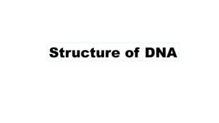 Structure of DNA
 