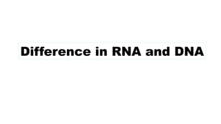 Difference in RNA and DNA
 