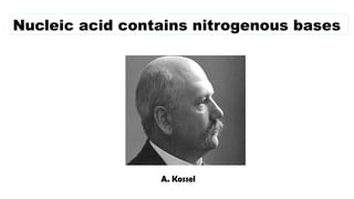 A. Kossel
Nucleic acid contains nitrogenous bases
 