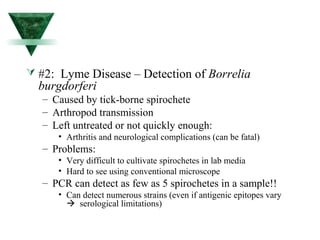  #2: Lyme Disease – Detection of Borrelia 
burgdorferi 
– Caused by tick-borne spirochete 
– Arthropod transmission 
– Left untreated or not quickly enough: 
• Arthritis and neurological complications (can be fatal) 
– Problems: 
• Very difficult to cultivate spirochetes in lab media 
• Hard to see using conventional microscope 
– PCR can detect as few as 5 spirochetes in a sample!! 
• Can detect numerous strains (even if antigenic epitopes vary 
 serological limitations) 
 