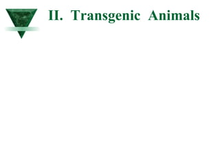 II. Transgenic Animals 
 