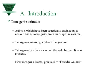 A. Introduction 
 Transgenic animals: 
– Animals which have been genetically engineered to 
contain one or more genes from an exogenous source. 
– Transgenes are integrated into the genome. 
– Transgenes can be transmitted through the germline to 
progeny. 
– First transgenic animal produced = “Founder Animal” 
 